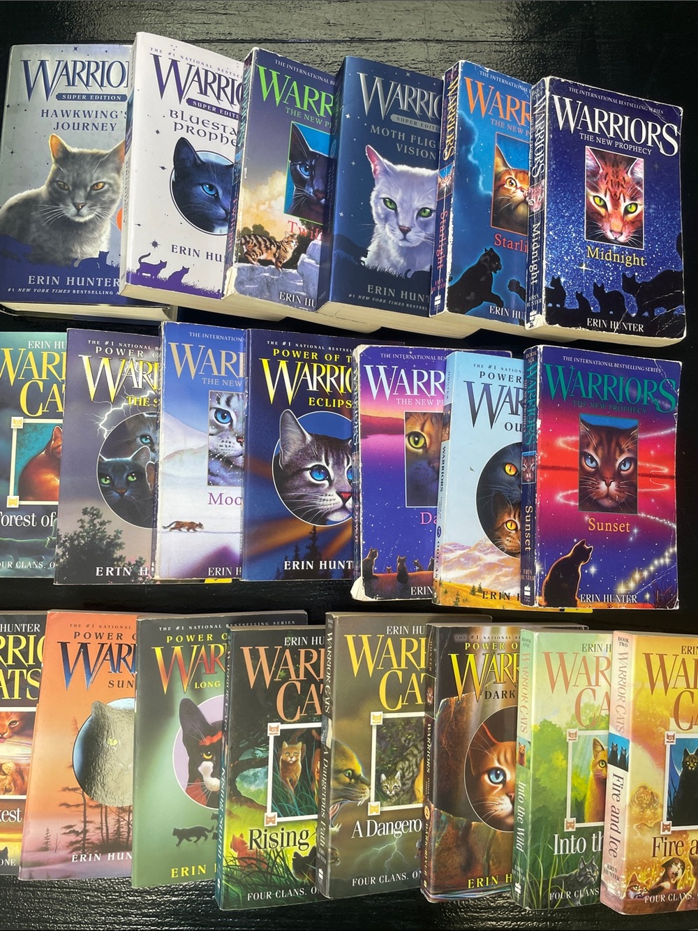 Warrior cats 21 book lot